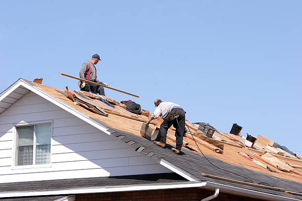 Best Gutter Installation and Repair  in West Mountain, UT